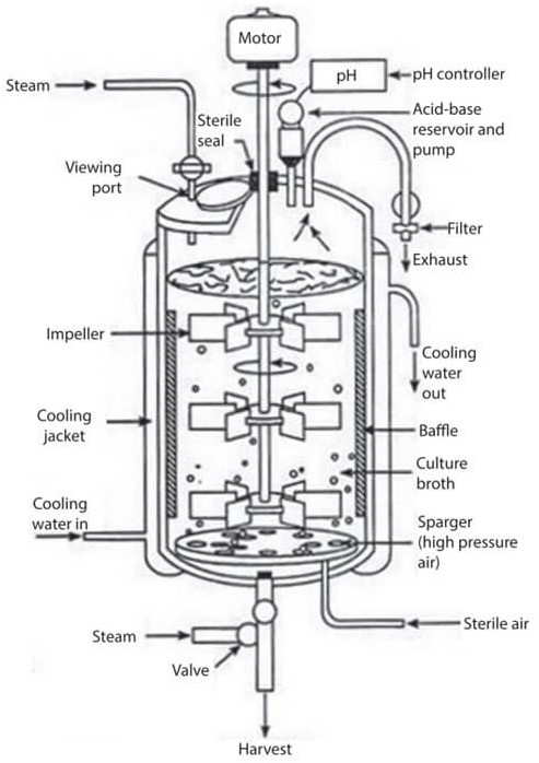Bioreactors / Fermenters