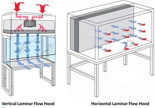 Laminar Flow Hood Airflow